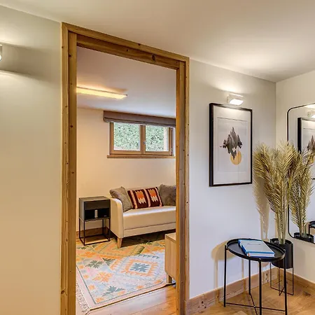 木屋 Arve - Alpes Travel - - Sleeps 10 霞慕尼